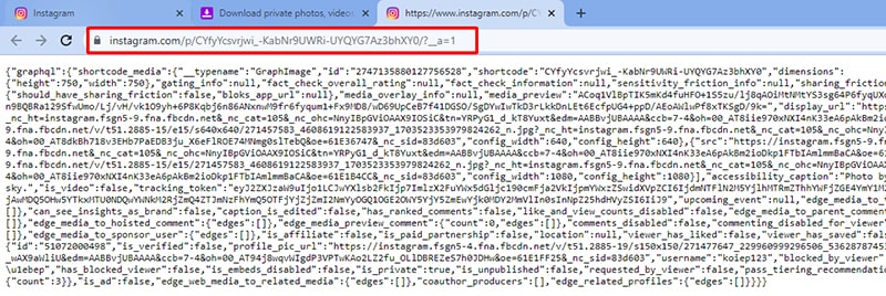 copy and open private link